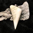 Fossil White Jasper Anhänger